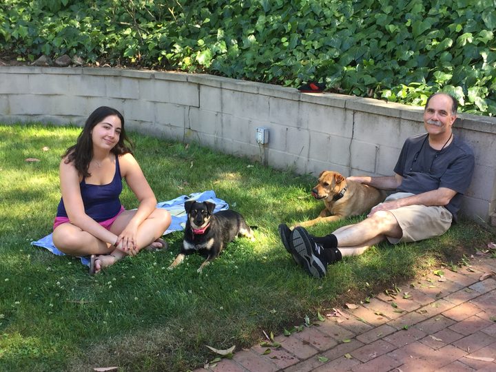 Daisy and Mia on the grass on adoption day. Mia, small and black-and-tan, sits on a blanket beside a young woman, while Daisy, a larger tan dog, rests against a man's leg.