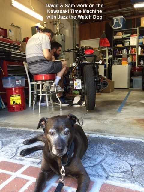Jazz lying on the driveway in front of a garage, keeping an eye on two people working on a motorcycle. A caption on the photo reads: David & Sam work on the Kawasaki Time Machine with Jazz the Watch Dog.