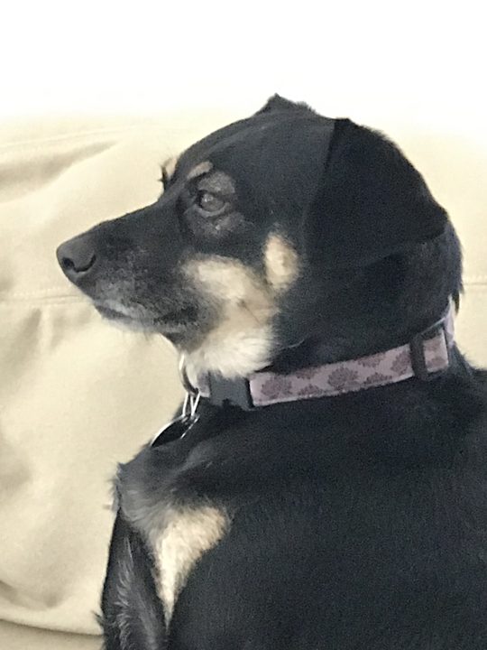 Mia in profile.